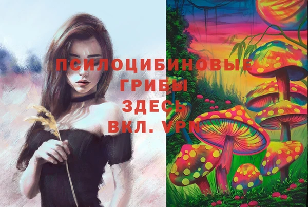 эйфоретик Вязники